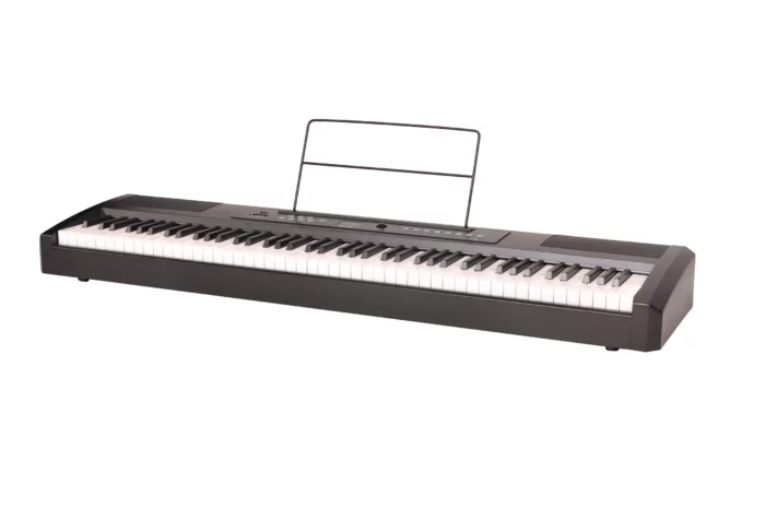 Ringway RP-25 Цифровое фортепиано-3
